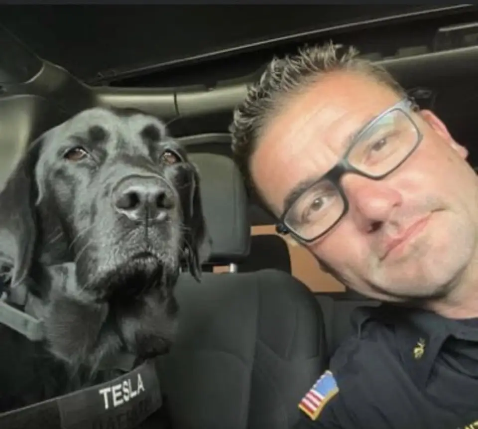 Image of Tesla a K9 dog with his partner