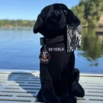 K9 Police Merchandise supporting the Tesla K9 foundation
