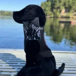 K9 Police Merchandise supporting the Tesla K9 foundation