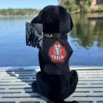 K9 Police Merchandise supporting the Tesla K9 foundation