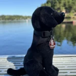 K9 Police Merchandise supporting the Tesla K9 foundation