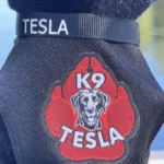 Image of K9 Tesla's working suit