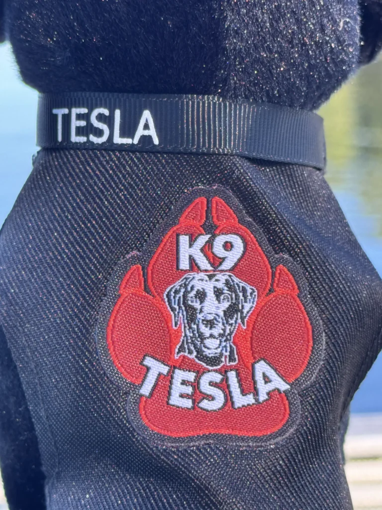 Image of K9 Tesla's working suit