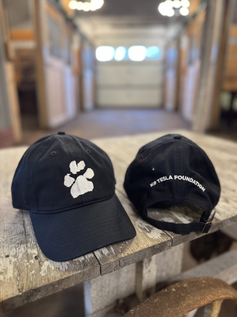 K9 Tesla Foundation baseball cap