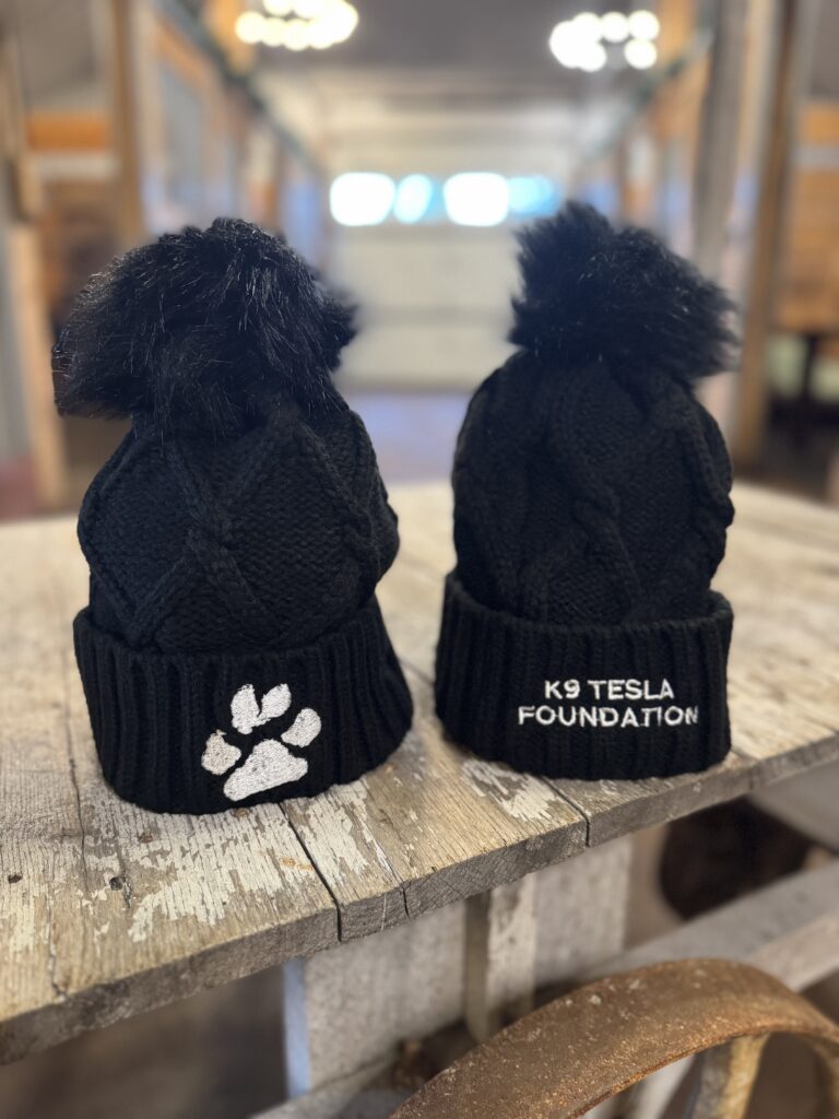Beanie with faux fur pom K9 Tesla winter hat