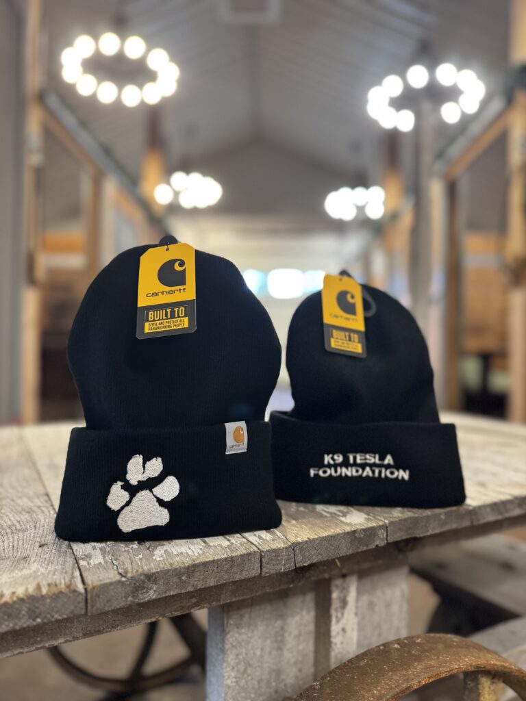 K9 Tesla Carhartt winter hat